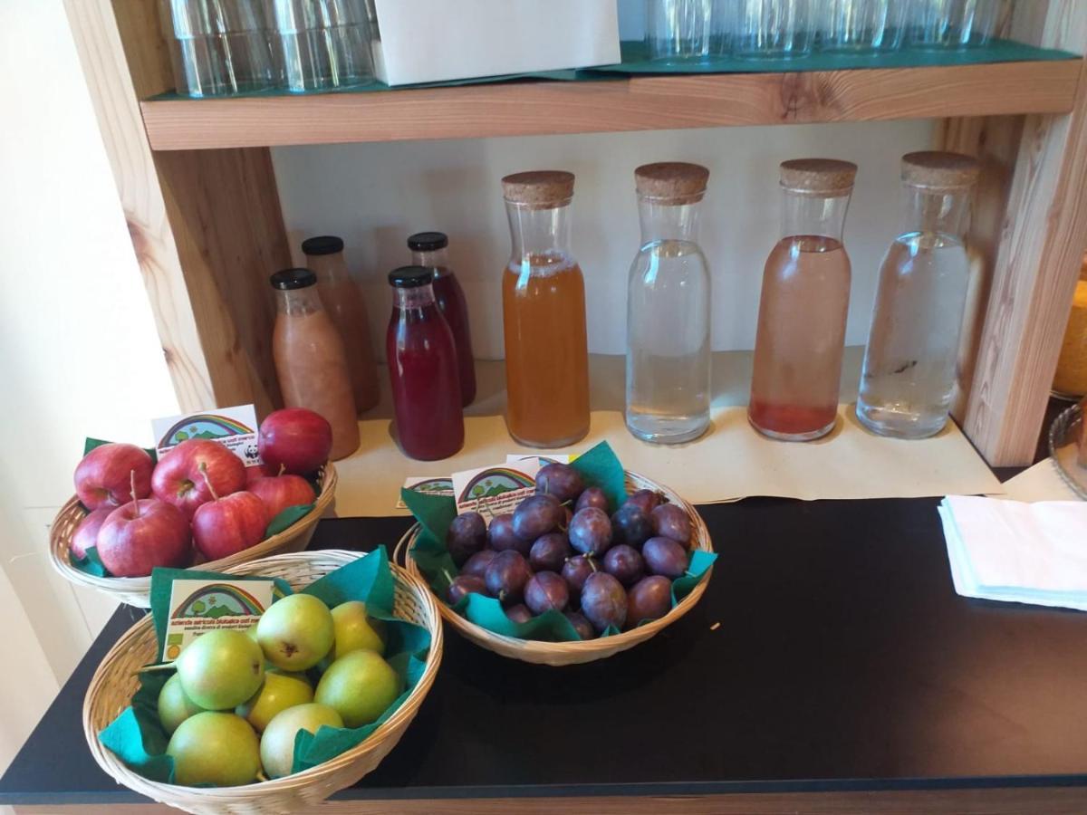 Bioagritur La Casa Dei Trajeri Villa Fai della Paganella Dış mekan fotoğraf